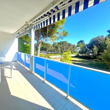 Pellicano - *